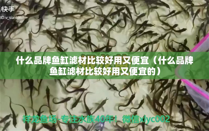 什么品牌魚(yú)缸濾材比較好用又便宜（什么品牌魚(yú)缸濾材比較好用又便宜的） 和尚魚(yú)