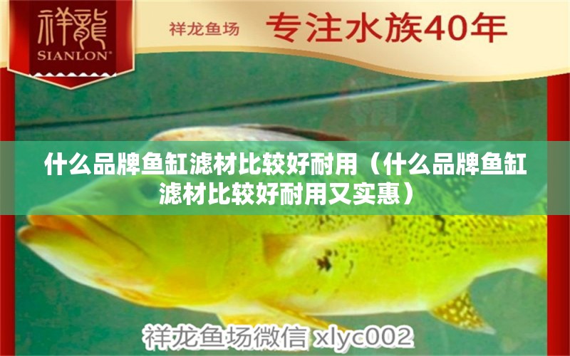 什么品牌魚缸濾材比較好耐用（什么品牌魚缸濾材比較好耐用又實惠） 女王大帆魚苗