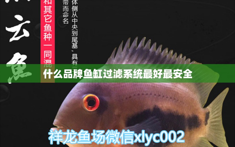 什么品牌魚缸過濾系統(tǒng)最好最安全 祥龍魚場