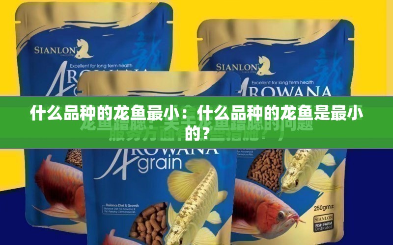 什么品種的龍魚最?。菏裁雌贩N的龍魚是最小的？ 水族問答