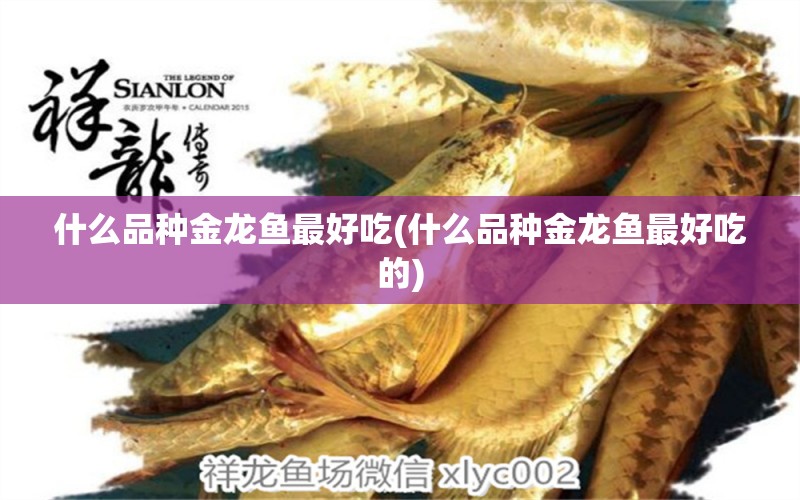 什么品種金龍魚最好吃(什么品種金龍魚最好吃的) 潛水泵 第1張