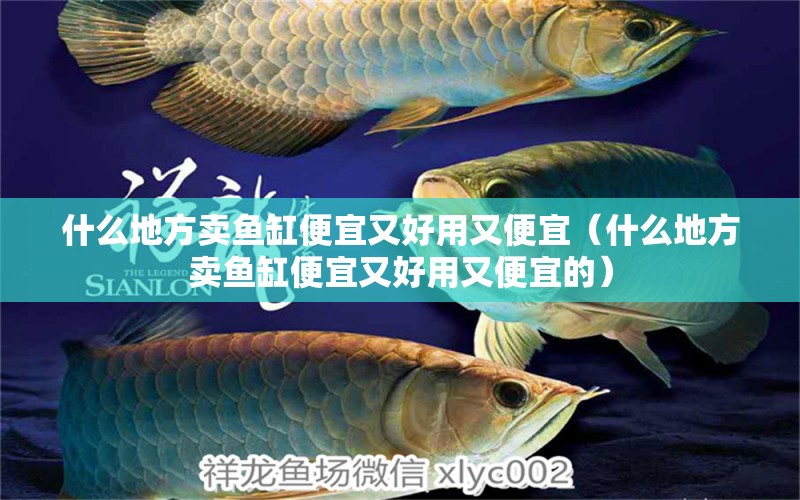 什么地方賣魚缸便宜又好用又便宜（什么地方賣魚缸便宜又好用又便宜的）