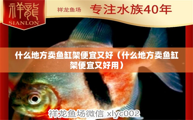 什么地方賣魚缸架便宜又好（什么地方賣魚缸架便宜又好用）