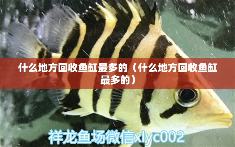 什么地方回收魚缸最多的（什么地方回收魚缸最多的）