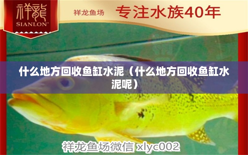 什么地方回收魚缸水泥（什么地方回收魚缸水泥呢）