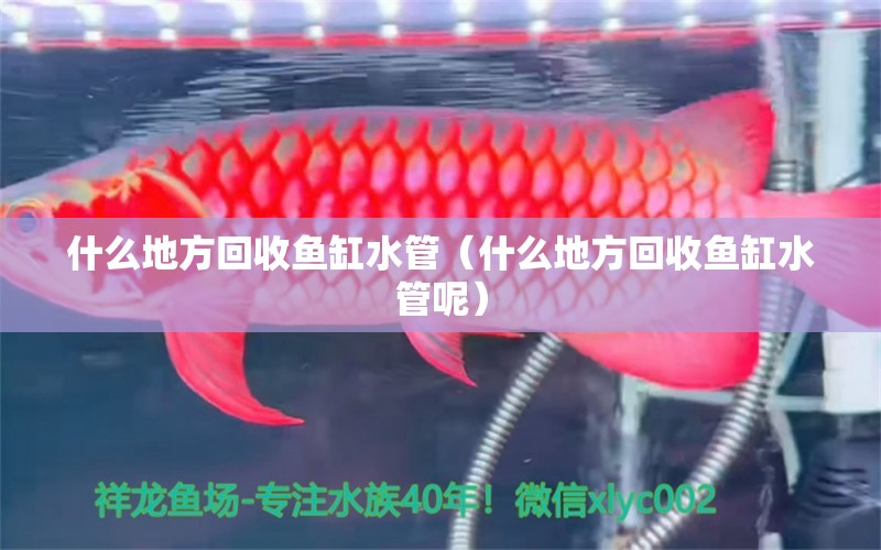 什么地方回收魚(yú)缸水管（什么地方回收魚(yú)缸水管呢）