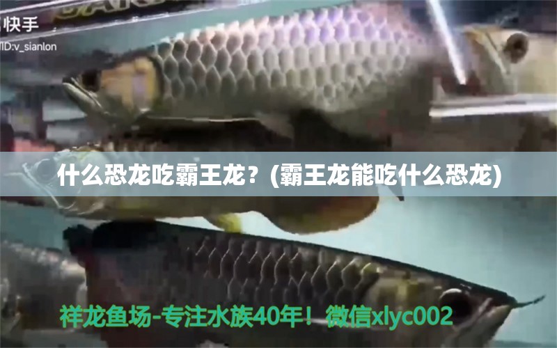 什么恐龍吃霸王龍？(霸王龍能吃什么恐龍) 巴卡雷龍魚