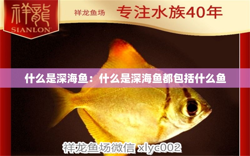 什么是深海魚：什么是深海魚都包括什么魚 祥龍超血紅龍魚