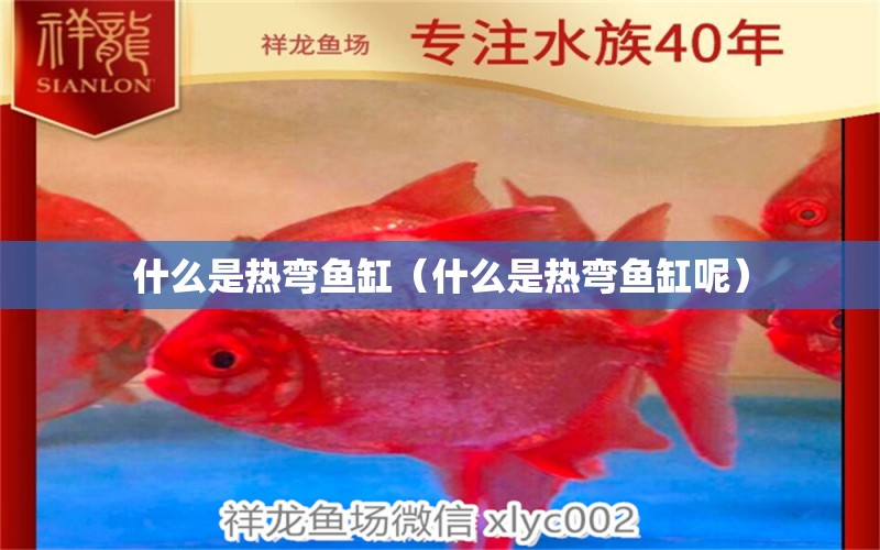 什么是熱彎魚(yú)缸（什么是熱彎魚(yú)缸呢）