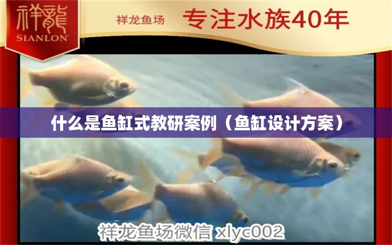 什么是魚缸式教研案例（魚缸設(shè)計(jì)方案）