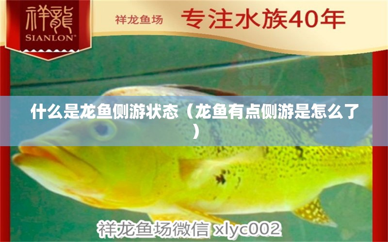 什么是龍魚側(cè)游狀態(tài)（龍魚有點側(cè)游是怎么了）