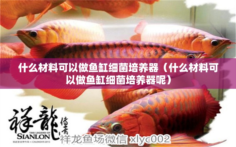 什么材料可以做魚缸細(xì)菌培養(yǎng)器（什么材料可以做魚缸細(xì)菌培養(yǎng)器呢） 量子養(yǎng)魚技術(shù)