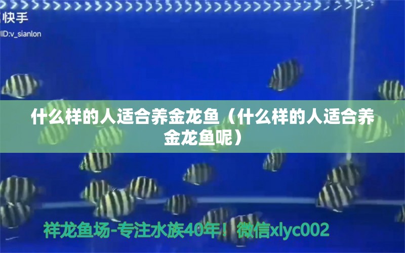 什么樣的人適合養(yǎng)金龍魚（什么樣的人適合養(yǎng)金龍魚呢）