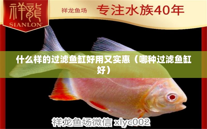 什么樣的過濾魚缸好用又實(shí)惠（哪種過濾魚缸好）