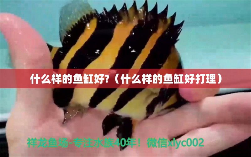 什么樣的魚缸好?（什么樣的魚缸好打理）