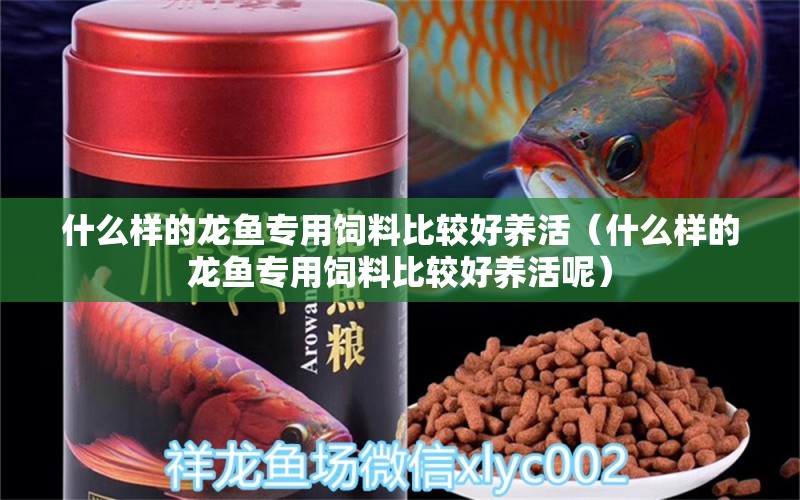 什么樣的龍魚專用飼料比較好養(yǎng)活（什么樣的龍魚專用飼料比較好養(yǎng)活呢） 廣州龍魚批發(fā)市場(chǎng)