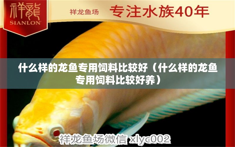 什么樣的龍魚專用飼料比較好（什么樣的龍魚專用飼料比較好養(yǎng)）