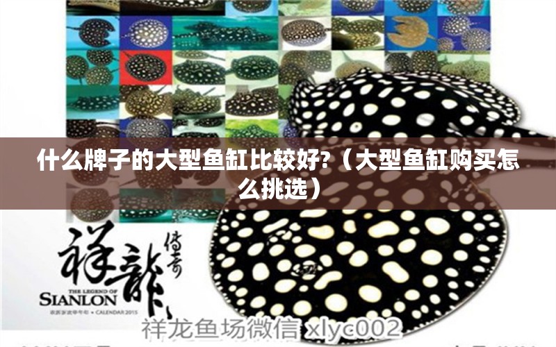 什么牌子的大型魚(yú)缸比較好?（大型魚(yú)缸購(gòu)買(mǎi)怎么挑選）