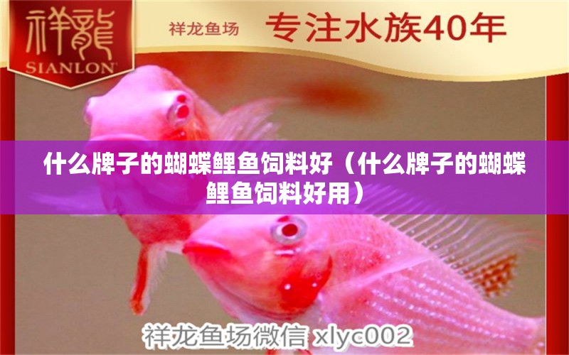 什么牌子的蝴蝶鯉魚飼料好（什么牌子的蝴蝶鯉魚飼料好用） 蝴蝶鯉