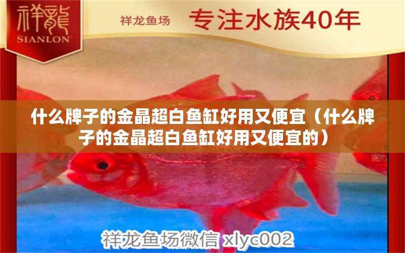 什么牌子的金晶超白魚缸好用又便宜（什么牌子的金晶超白魚缸好用又便宜的） 水族問答 第2張