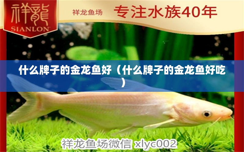 什么牌子的金龍魚好（什么牌子的金龍魚好吃） 廣州龍魚批發(fā)市場