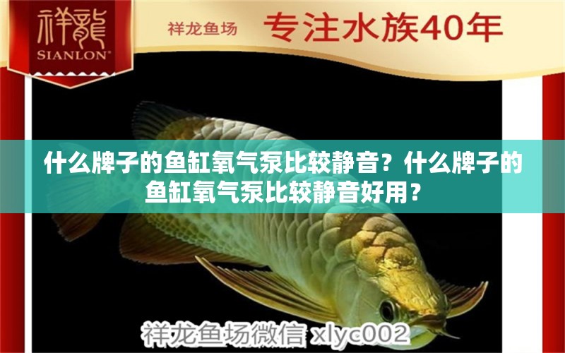 什么牌子的魚缸氧氣泵比較靜音？什么牌子的魚缸氧氣泵比較靜音好用？ 短身紅龍魚