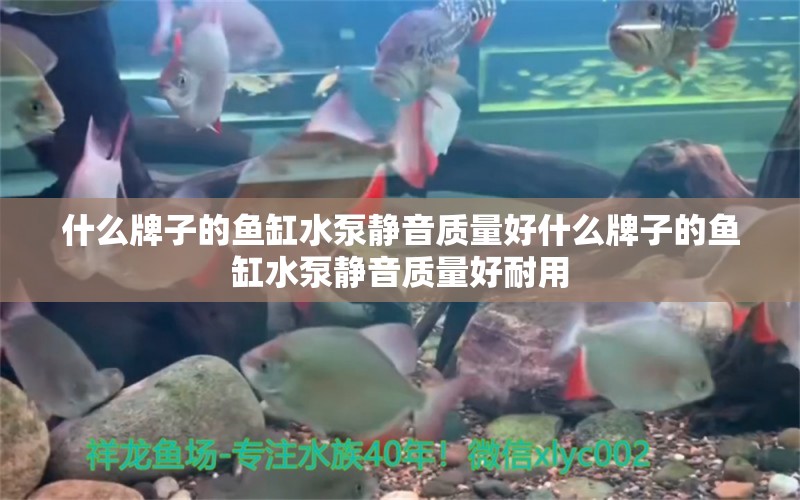 什么牌子的魚缸水泵靜音質(zhì)量好什么牌子的魚缸水泵靜音質(zhì)量好耐用