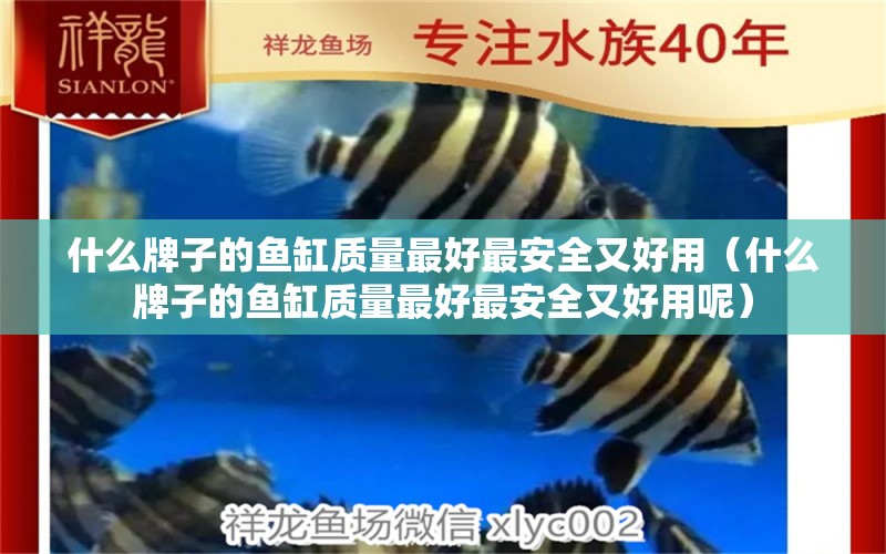 什么牌子的魚缸質(zhì)量最好最安全又好用（什么牌子的魚缸質(zhì)量最好最安全又好用呢） 一眉道人魚