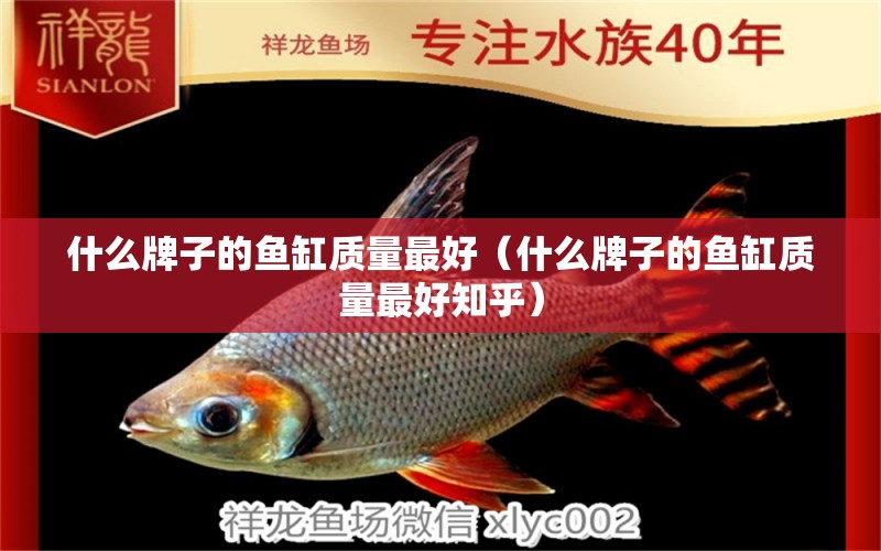 什么牌子的魚缸質(zhì)量最好（什么牌子的魚缸質(zhì)量最好知乎）