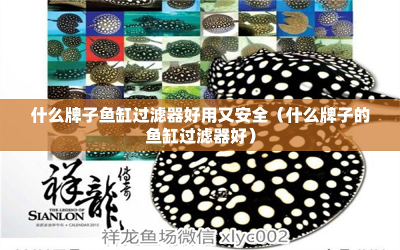 什么牌子魚(yú)缸過(guò)濾器好用又安全（什么牌子的魚(yú)缸過(guò)濾器好） 廣州觀賞魚(yú)批發(fā)市場(chǎng)