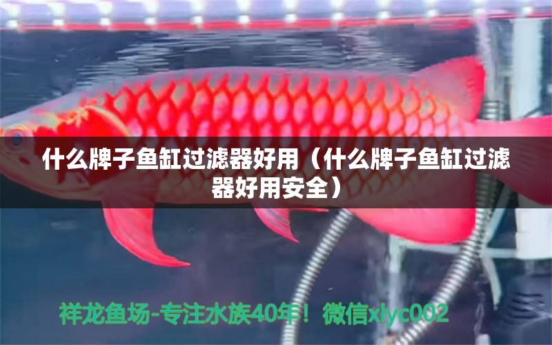 什么牌子魚(yú)缸過(guò)濾器好用（什么牌子魚(yú)缸過(guò)濾器好用安全）