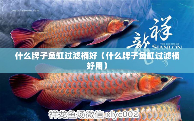 什么牌子魚缸過濾桶好（什么牌子魚缸過濾桶好用）