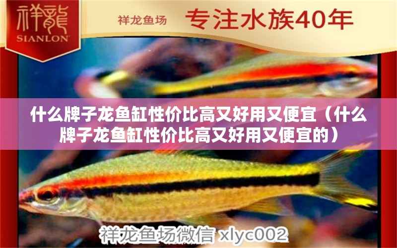 什么牌子龍魚(yú)缸性價(jià)比高又好用又便宜（什么牌子龍魚(yú)缸性價(jià)比高又好用又便宜的）