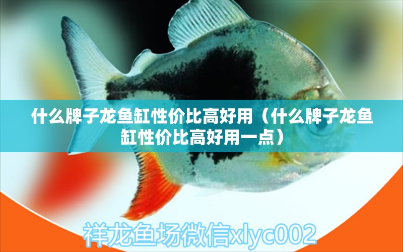 什么牌子龍魚缸性價(jià)比高好用（什么牌子龍魚缸性價(jià)比高好用一點(diǎn)）