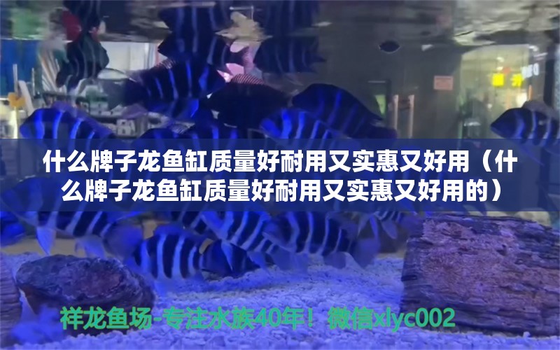 什么牌子龍魚缸質(zhì)量好耐用又實惠又好用（什么牌子龍魚缸質(zhì)量好耐用又實惠又好用的） 廣州龍魚批發(fā)市場