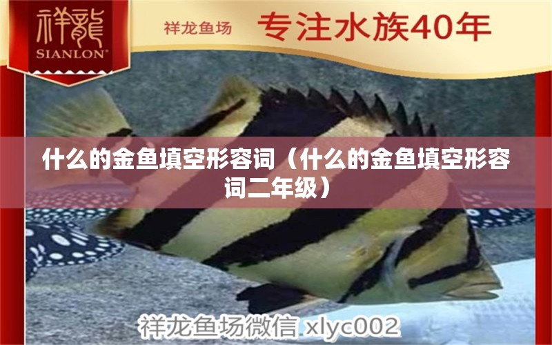 什么的金魚填空形容詞（什么的金魚填空形容詞二年級） 廣州龍魚批發(fā)市場