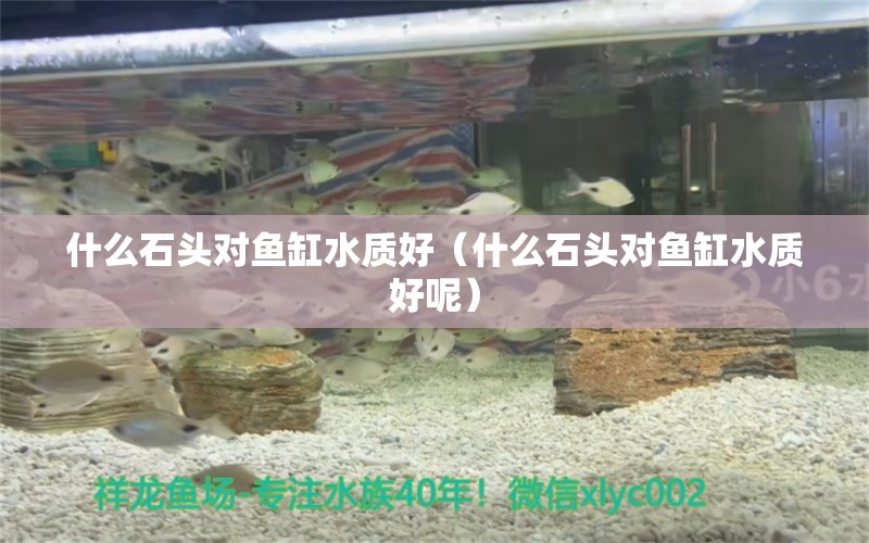 什么石頭對(duì)魚缸水質(zhì)好（什么石頭對(duì)魚缸水質(zhì)好呢） 其他品牌魚缸