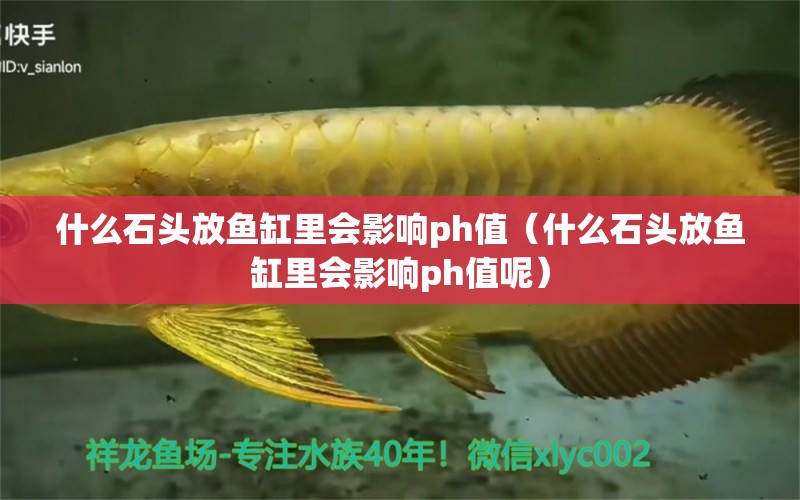 什么石頭放魚缸里會影響ph值（什么石頭放魚缸里會影響ph值呢）