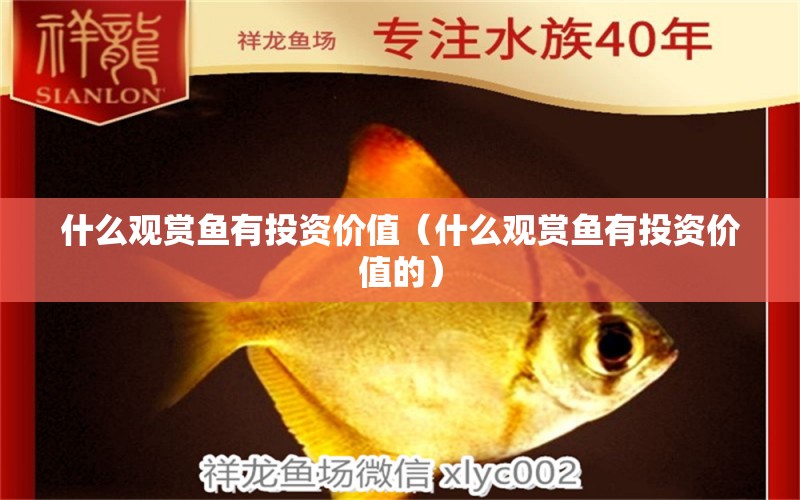 什么觀賞魚有投資價(jià)值（什么觀賞魚有投資價(jià)值的）