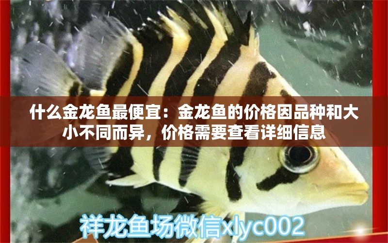 什么金龍魚最便宜：金龍魚的價(jià)格因品種和大小不同而異，價(jià)格需要查看詳細(xì)信息