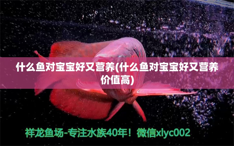 什么魚對寶寶好又營養(yǎng)(什么魚對寶寶好又營養(yǎng)價值高) 觀賞魚水族批發(fā)市場