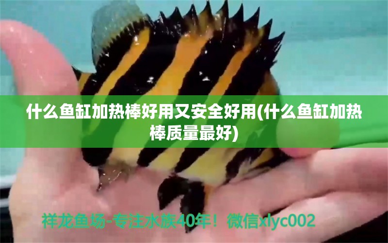 什么魚缸加熱棒好用又安全好用(什么魚缸加熱棒質(zhì)量最好) 白子球鯊魚 第1張