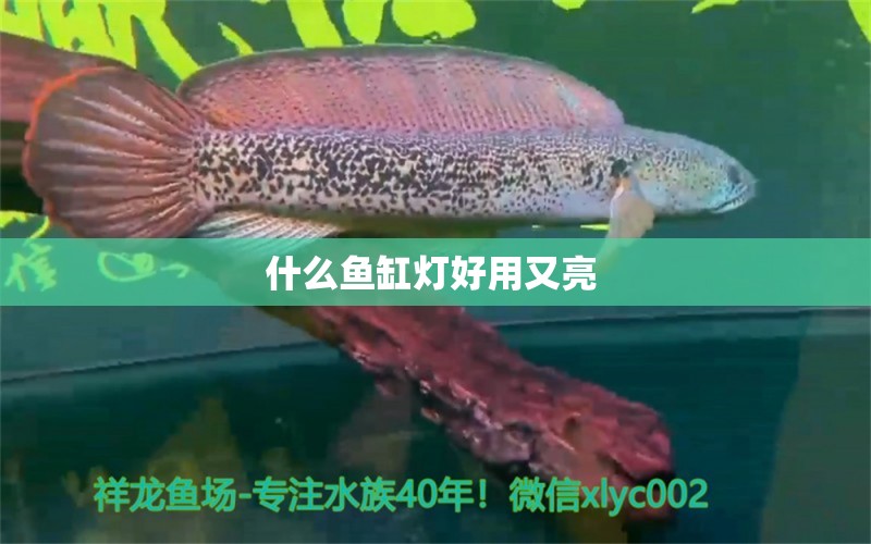 什么魚缸燈好用又亮 