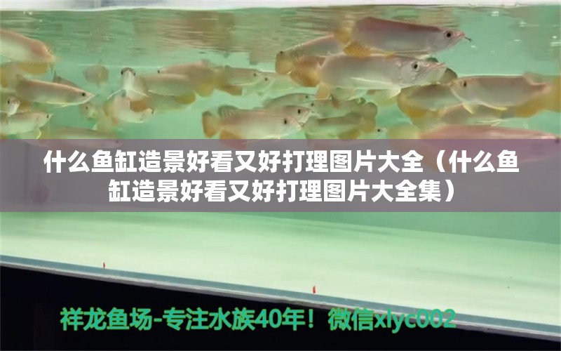 什么魚(yú)缸造景好看又好打理圖片大全（什么魚(yú)缸造景好看又好打理圖片大全集） 祥龍水族醫(yī)院