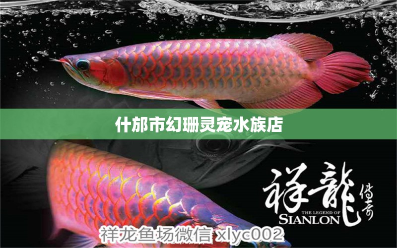 什邡市幻珊靈寵水族店