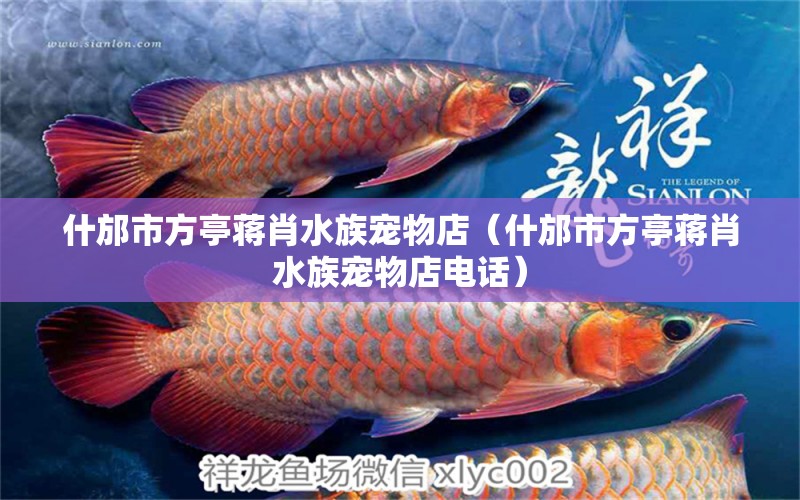 什邡市方亭蔣肖水族寵物店（什邡市方亭蔣肖水族寵物店電話）