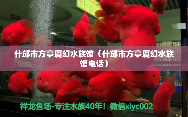 什邡市方亭魔幻水族館（什邡市方亭魔幻水族館電話） 全國水族館企業(yè)名錄