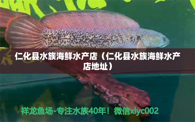 仁化縣水族海鮮水產(chǎn)店（仁化縣水族海鮮水產(chǎn)店地址）