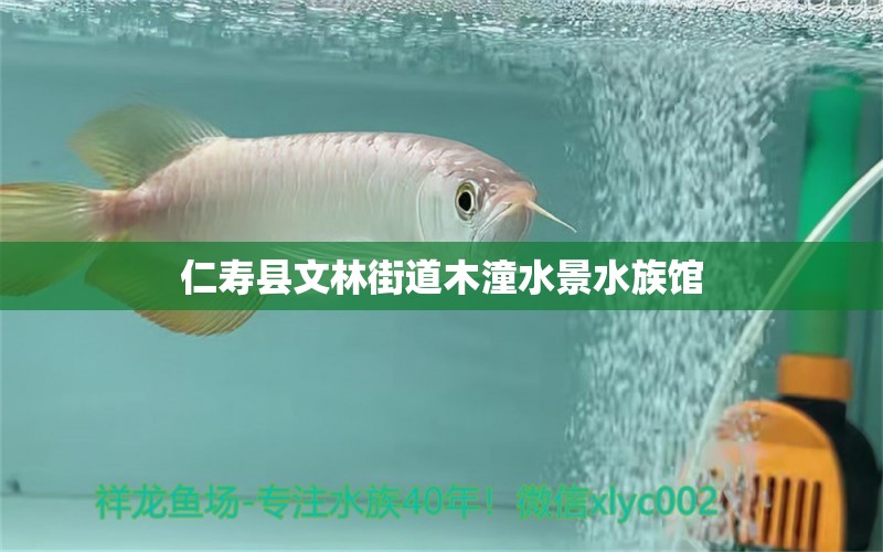 仁壽縣文林街道木潼水景水族館