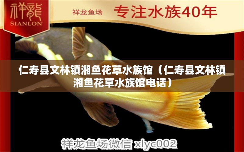 仁壽縣文林鎮(zhèn)湘魚花草水族館（仁壽縣文林鎮(zhèn)湘魚花草水族館電話）